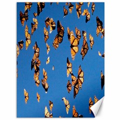 Eastern Monarch Butterfly Canvas 36  x 48 