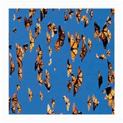 Eastern Monarch Butterfly Medium Glasses Cloth