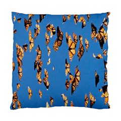 Eastern Monarch Butterfly Standard Cushion Case (one Side) by nate14shop