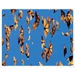 Eastern Monarch Butterfly Double Sided Flano Blanket (Medium)  60 x50  Blanket Front