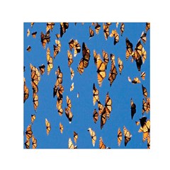 Eastern Monarch Butterfly Square Satin Scarf (30  x 30 )