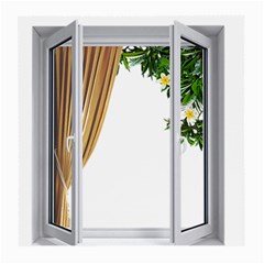 Window Medium Glasses Cloth