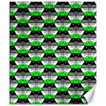 Hackers Town Void Mantis Hexagon Agender Agender Info Pride Flag Canvas 20  x 24  19.57 x23.15  Canvas - 1