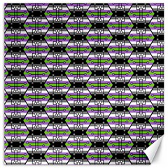 Hackers Town Void Mantis Hexagon Agender Nine 9 Stripe Pride Flag Canvas 20  X 20  by WetdryvacsLair