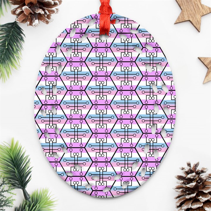 Hackers Town Void Mantis Hexagon Bigender Pride Flag Ornament (Oval Filigree)