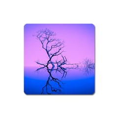 Nature-inspiration-trees-blue Square Magnet