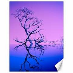 Nature-inspiration-trees-blue Canvas 12  X 16 