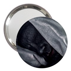 Monster Man Sleeping 3  Handbag Mirrors by dflcprintsclothing