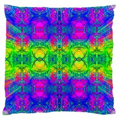 Color Me Happy Large Cushion Case (two Sides) by Thespacecampers