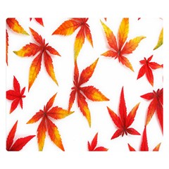 Abstract-b 001 Double Sided Flano Blanket (Small) 