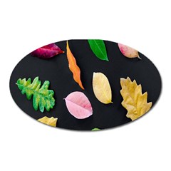 Autumn-b 001 Oval Magnet by nate14shop