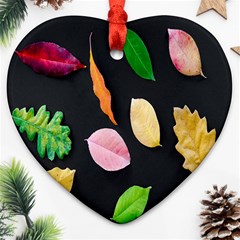 Autumn-b 001 Heart Ornament (two Sides) by nate14shop