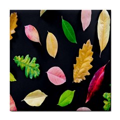 Autumn-b 002 Tile Coaster by nate14shop