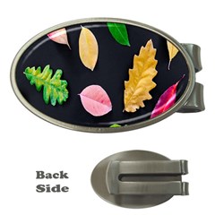 Autumn-b 002 Money Clips (oval)  by nate14shop