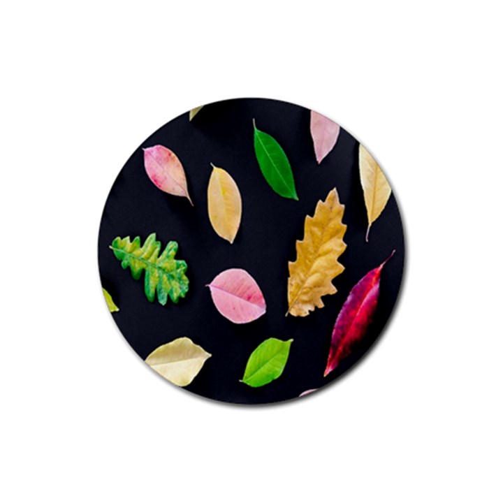 Autumn-b 002 Rubber Round Coaster (4 pack)