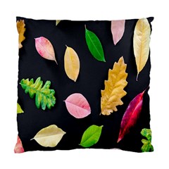 Autumn-b 002 Standard Cushion Case (two Sides) by nate14shop