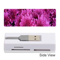 Hd-wallpaper Flower-b 004 Memory Card Reader (stick) by nate14shop