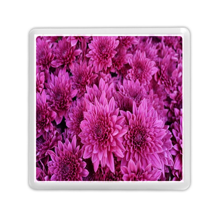 Hd-wallpaper flower-b 004 Memory Card Reader (Square)