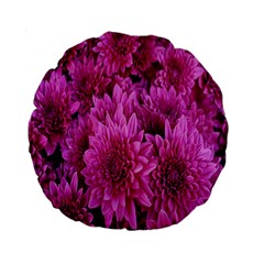 Hd-wallpaper Flower-b 004 Standard 15  Premium Round Cushions by nate14shop