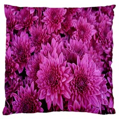 Hd-wallpaper Flower-b 004 Standard Flano Cushion Case (one Side)