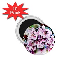 Watercolour-cherry-blossoms 1 75  Magnets (10 Pack) 