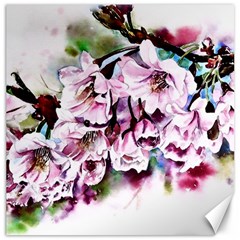 Watercolour-cherry-blossoms Canvas 20  X 20 