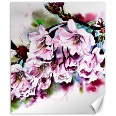 Watercolour-cherry-blossoms Canvas 20  X 24 