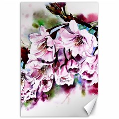 Watercolour-cherry-blossoms Canvas 20  X 30 