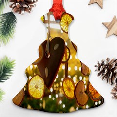 Lemon-slices Christmas Tree Ornament (Two Sides)