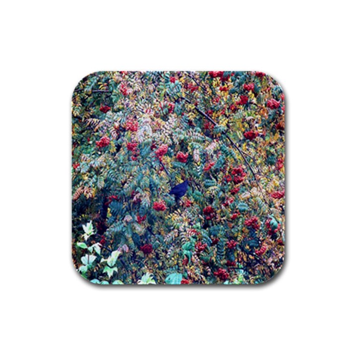 Rowan Rubber Square Coaster (4 pack)