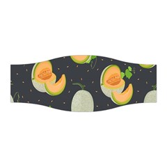 Melon-whole-slice-seamless-pattern Stretchable Headband