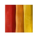 Hd-wallpape-wood Square Satin Scarf (30  x 30 ) Front