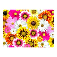 Blossoms Double Sided Flano Blanket (mini)  by nate14shop