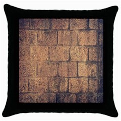 Architecture  Throw Pillow Case (black) by artworkshop