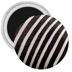  Zebra Pattern  3  Magnets by artworkshop