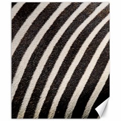  Zebra Pattern  Canvas 8  X 10  by artworkshop