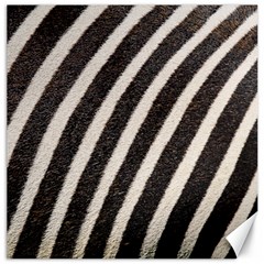  Zebra Pattern  Canvas 16  X 16  by artworkshop