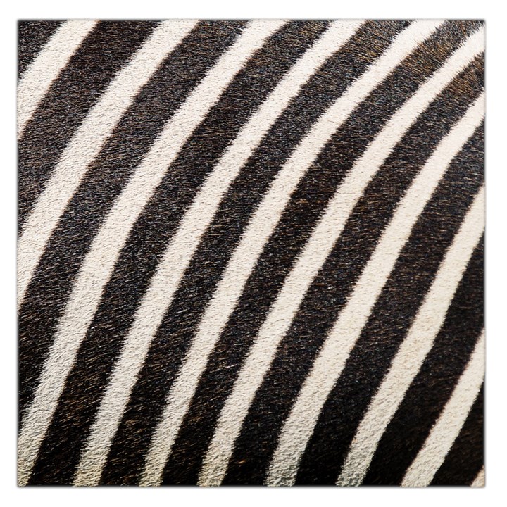  Zebra Pattern  Square Satin Scarf (36  x 36 )