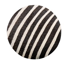  Zebra Pattern  Mini Round Pill Box by artworkshop