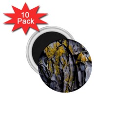 Rock Wall Crevices Geology Pattern Shapes Texture 1 75  Magnets (10 Pack)  by artworkshop