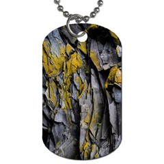 Rock Wall Crevices Geology Pattern Shapes Texture Dog Tag (one Side) by artworkshop