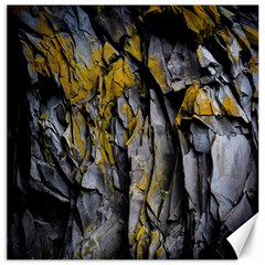 Rock Wall Crevices Geology Pattern Shapes Texture Canvas 16  X 16  by artworkshop