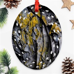 Rock Wall Crevices Geology Pattern Shapes Texture Oval Filigree Ornament (two Sides) by artworkshop