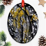 Rock Wall Crevices Geology Pattern Shapes Texture Oval Filigree Ornament (Two Sides) Front