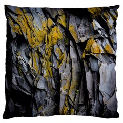 Rock Wall Crevices Geology Pattern Shapes Texture Large Cushion Case (one Side) by artworkshop