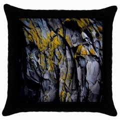 Rock Wall Crevices Geology Pattern Shapes Texture Throw Pillow Case (black) by artworkshop