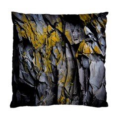 Rock Wall Crevices Geology Pattern Shapes Texture Standard Cushion Case (two Sides) by artworkshop