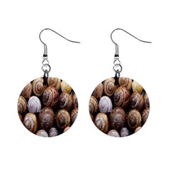 Snail Shells Pattern Arianta Arbustorum Mini Button Earrings by artworkshop