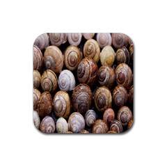 Snail Shells Pattern Arianta Arbustorum Rubber Coaster (square) by artworkshop