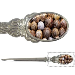 Snail Shells Pattern Arianta Arbustorum Letter Opener by artworkshop